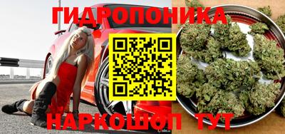 ALPHA PVP Кингисепп