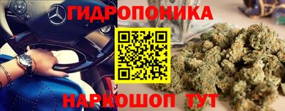 ALPHA PVP Кингисепп