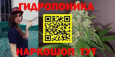 гашик Кинель