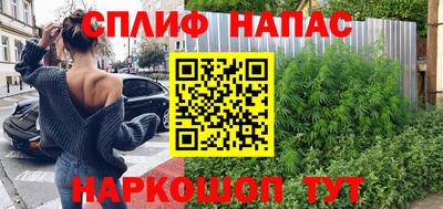 гашик Кинель
