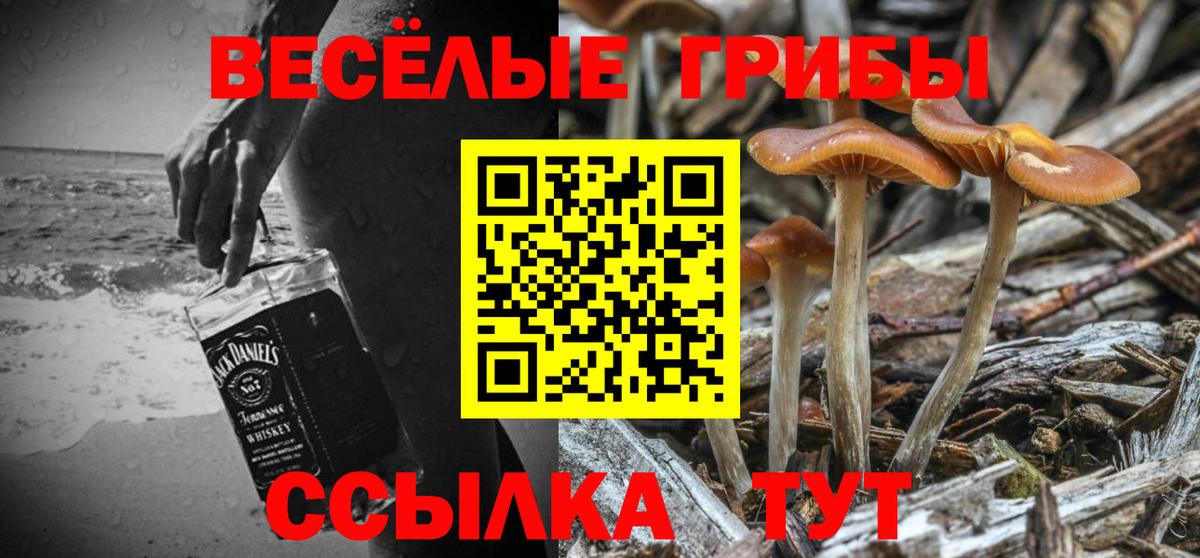 Красный Сулин  Псилоцибиновые грибы Psilocybine cubensis  Вход с VPN 